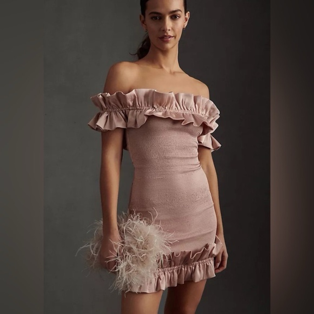 NWT V. Chapman Flora Mini Dress Size 10 in Pink